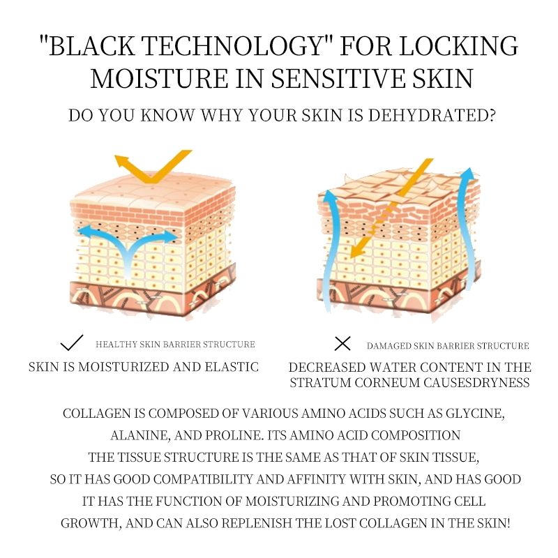 1744 英文主7_看图王