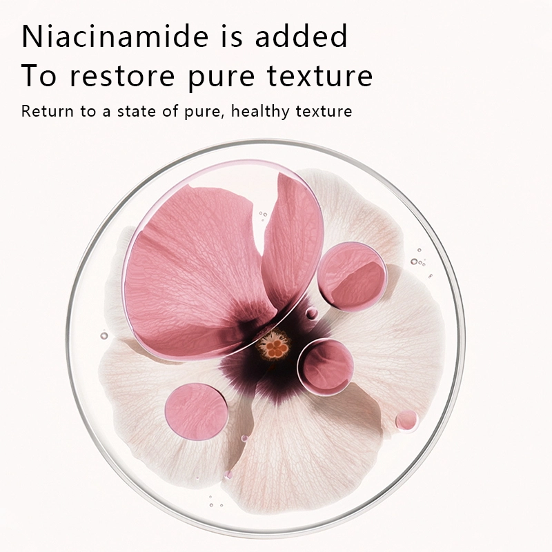 1756 主6 英文_看图王