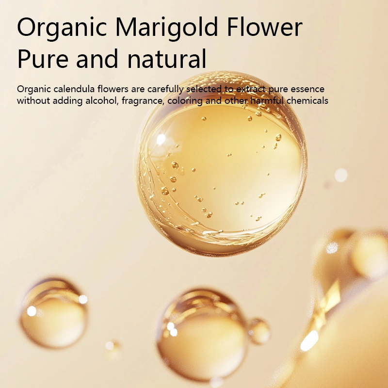 1778 主6 英文_看图王