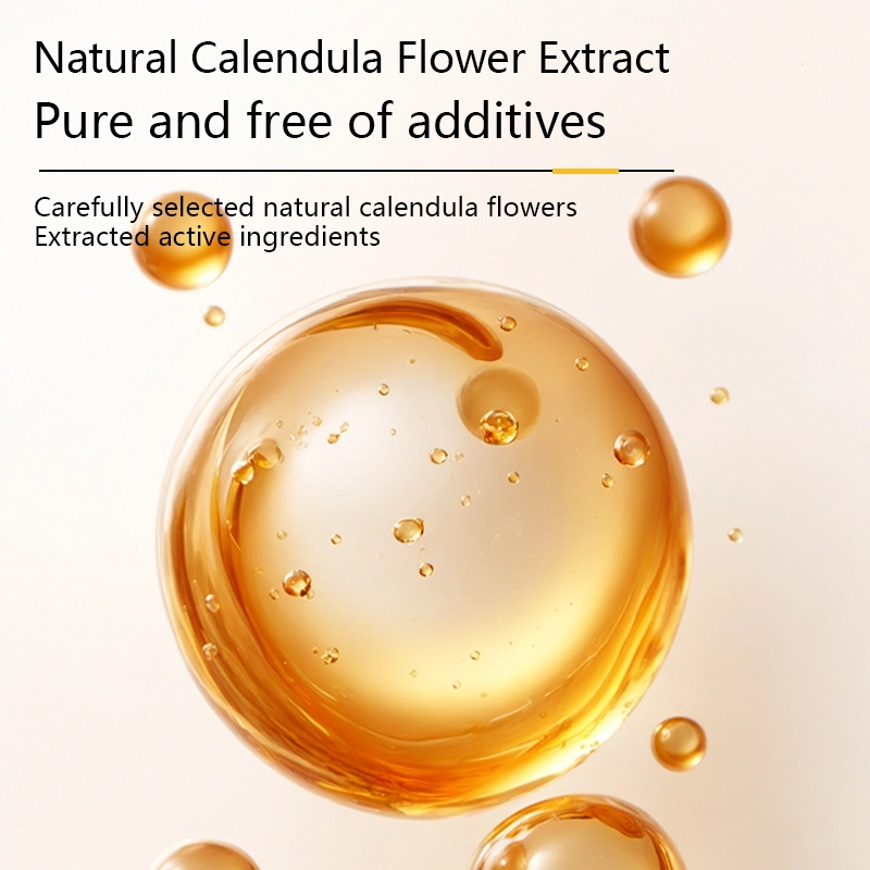 1781 主6 英文_看图王