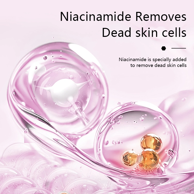 1833 主6 英文_看图王