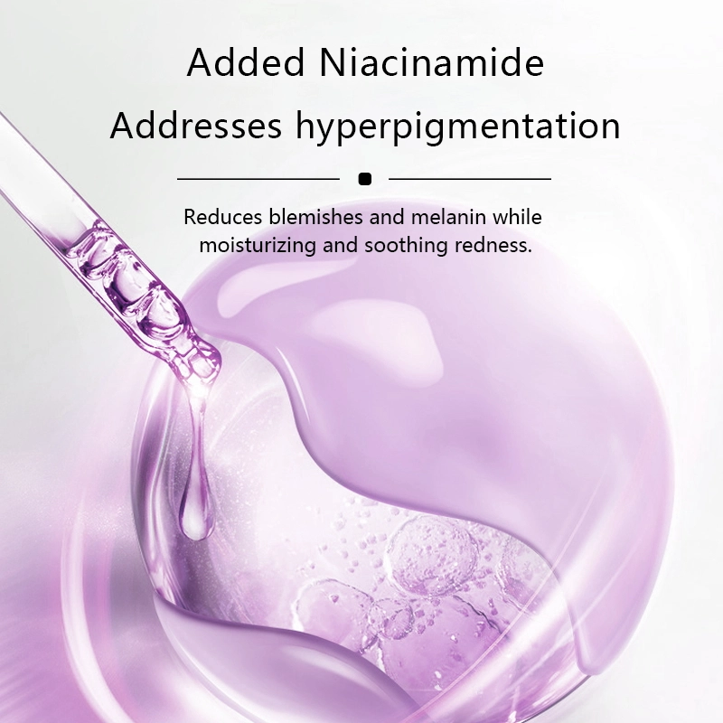 1834 主6 英文_看图王