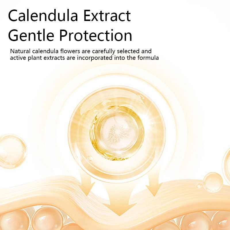 1785 主6 英文_看图王