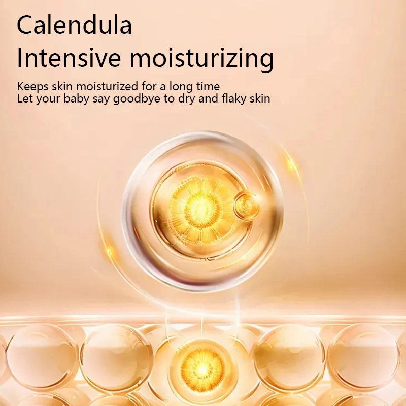 1786 主6 英文_看图王