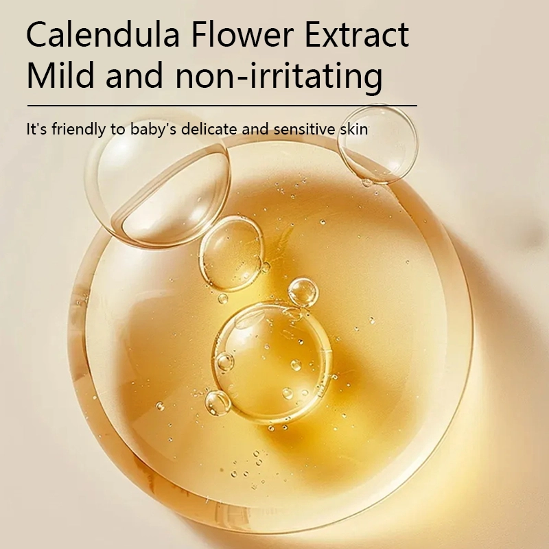 1787 主6 英文_看图王